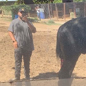 Meet your Posher, Jesse